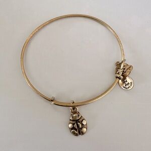 Alex and Ani Ladybug Bangle Bracelet